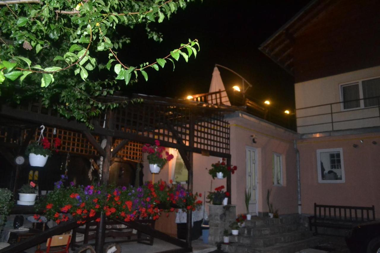 Vila Pitty Sinaia Exterior photo